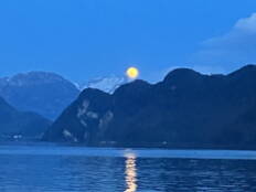 img_5590.jpeg