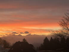 img_1036.jpeg img_1036.jpeg