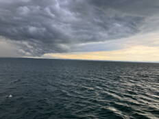 img_6677.jpeg